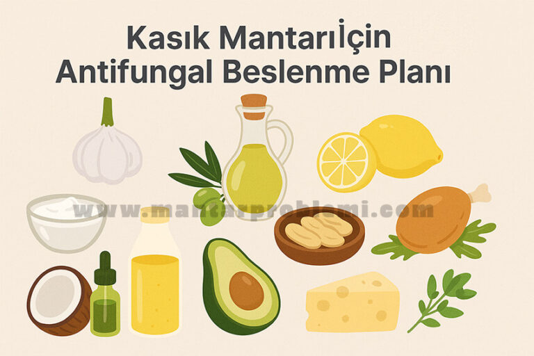 Antifungal beslenme planında yer alan doğal gıdaları gösteren Türkçe illüstrasyon: sarımsak, kefir, limon, yoğurt, yeşil sebzeler, avokado, yumurta, karabuğday