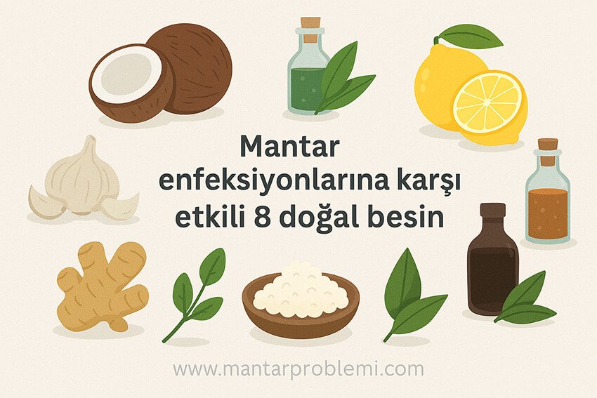 Mantar enfeksiyonlarına karşı etkili 8 doğal besini görsel olarak anlatan illüstrasyon: sarımsak, kefir, çay ağacı yağı, hindistan cevizi yağı, limon, zencefil, elma sirkesi ve kekik yağı.