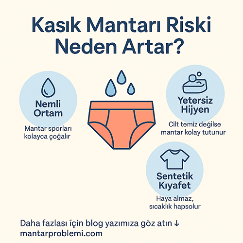 Kasık mantarı riskini artıran faktörleri simgelerle anlatan Türkçe bilgilendirici grafik.